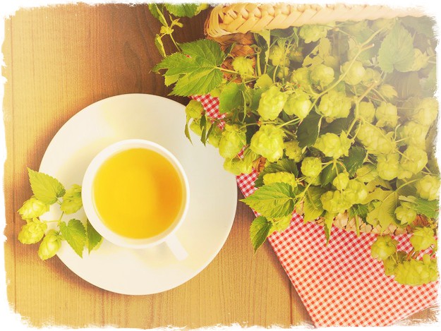 Настойка хмеля на белом вине