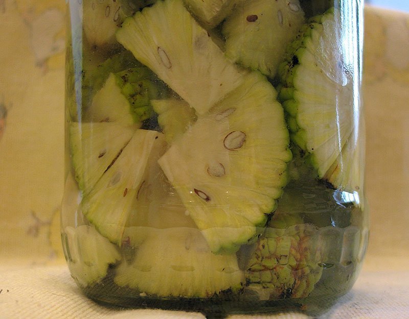 Настойка маклюры в банке