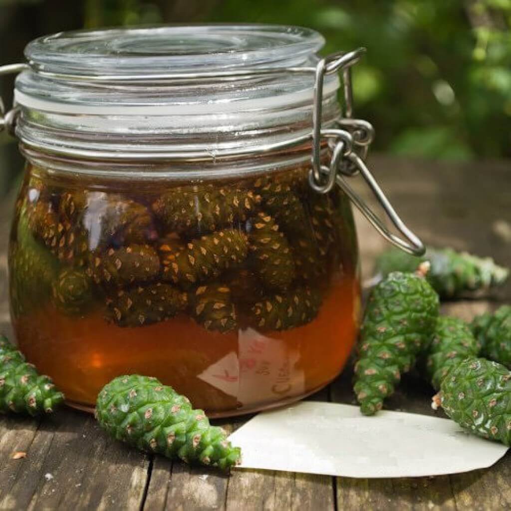 Настойка в банке и шишки сосны