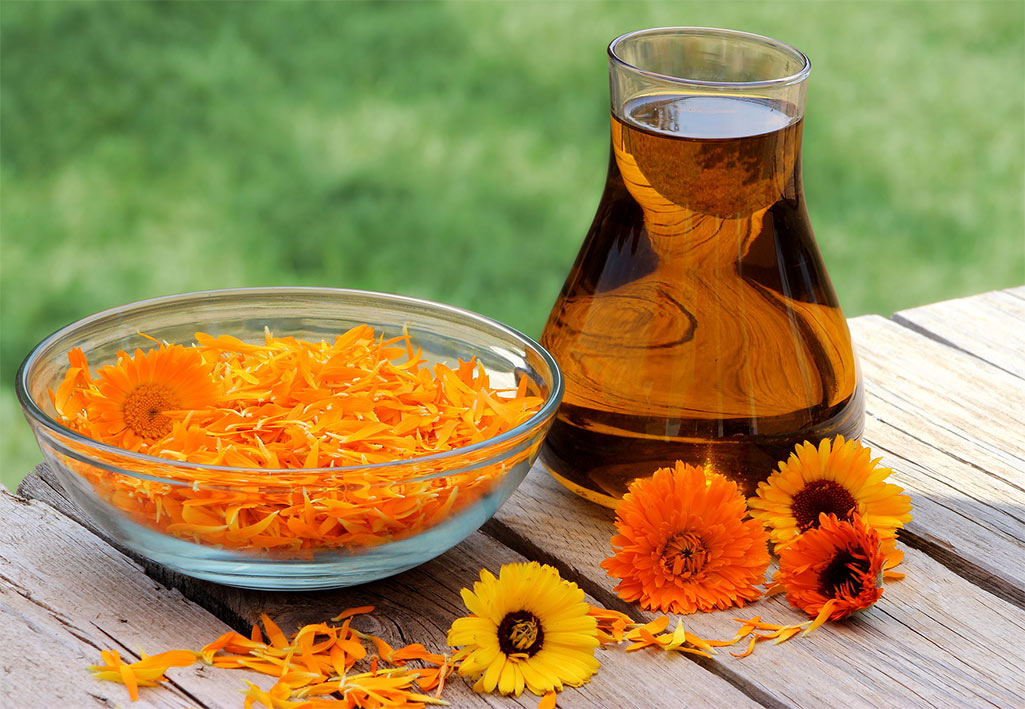 Календула и отвар из неё
