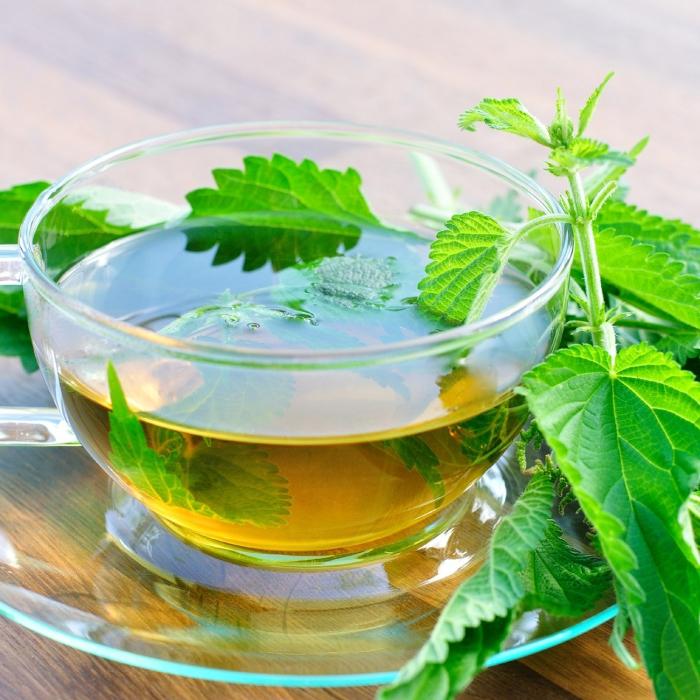 Чай из крапивы