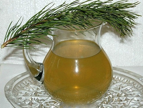 Отвар почек в кувшине и веточка сосны