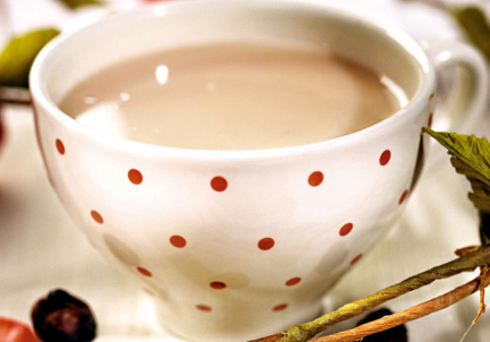 Отвар салепа