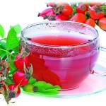 Отвар шиповника в чашке