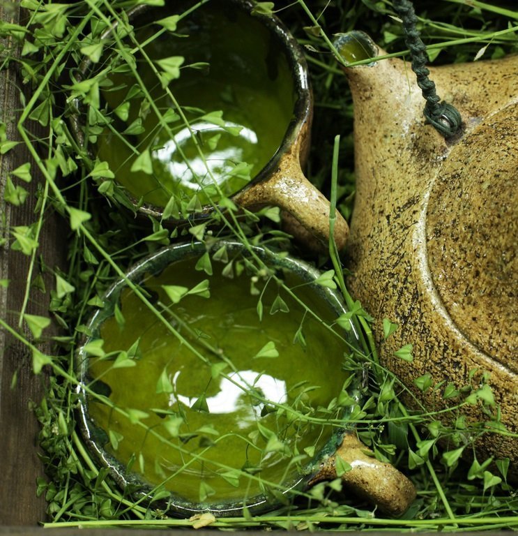 Пастушья сумка и отвары