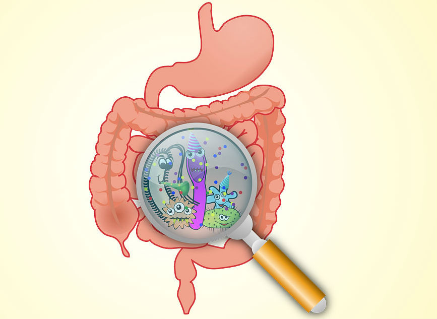 Паразиты в кишечнике (рисунок)