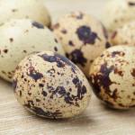 Перепелиные яйца