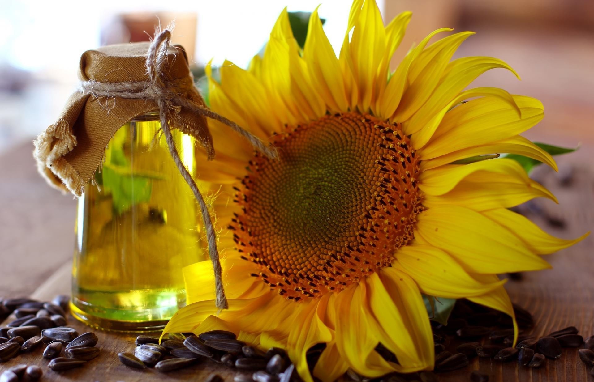 Подсолнух и масло из его семян