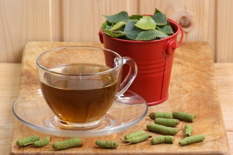 березовые почки