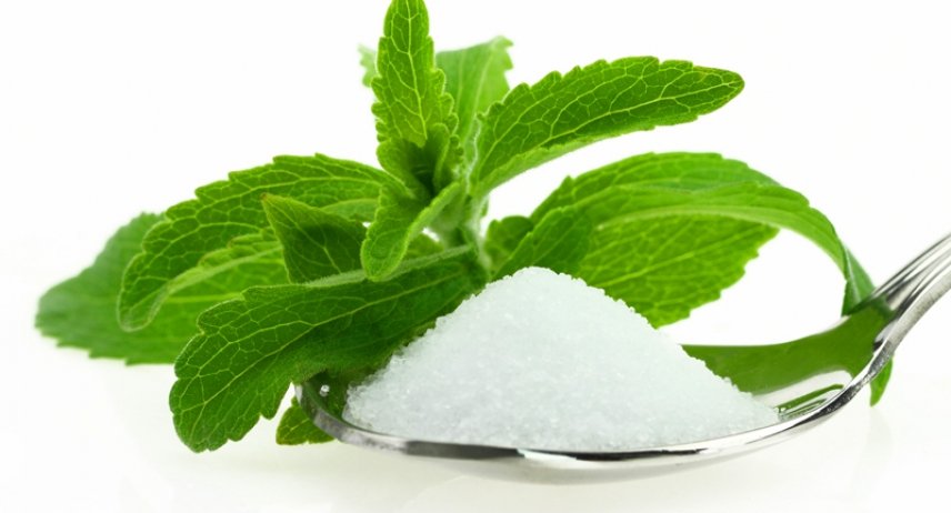 Растение стевия и сахар