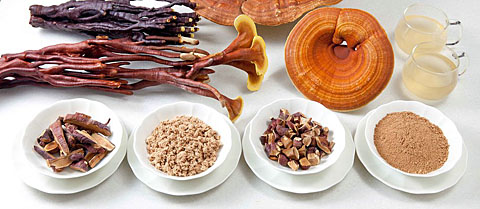 Различные лекарственные формы рейши