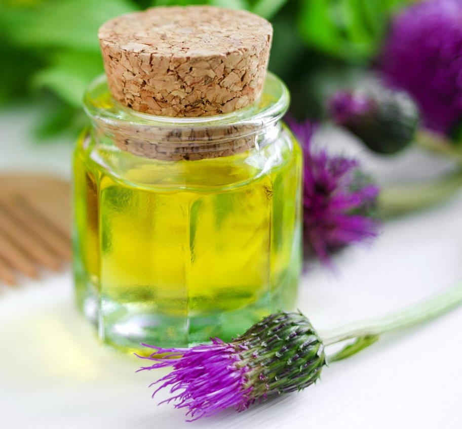 Репейник и масло из него