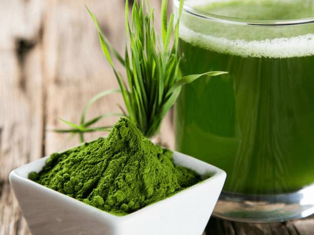 Спирулина: живая, в порошке и напитке