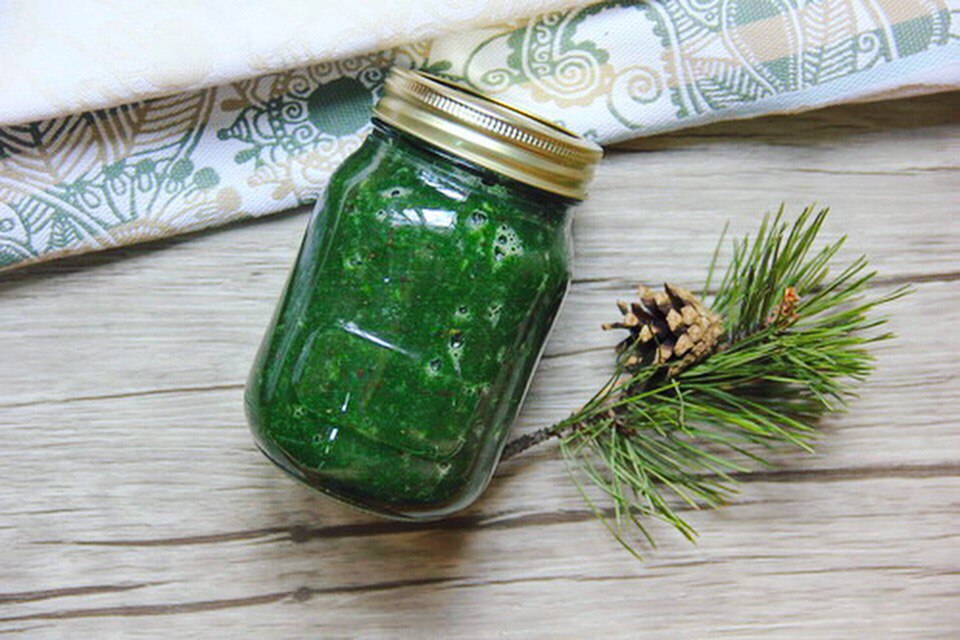 Масса спирулины в баночке и ветка сосны