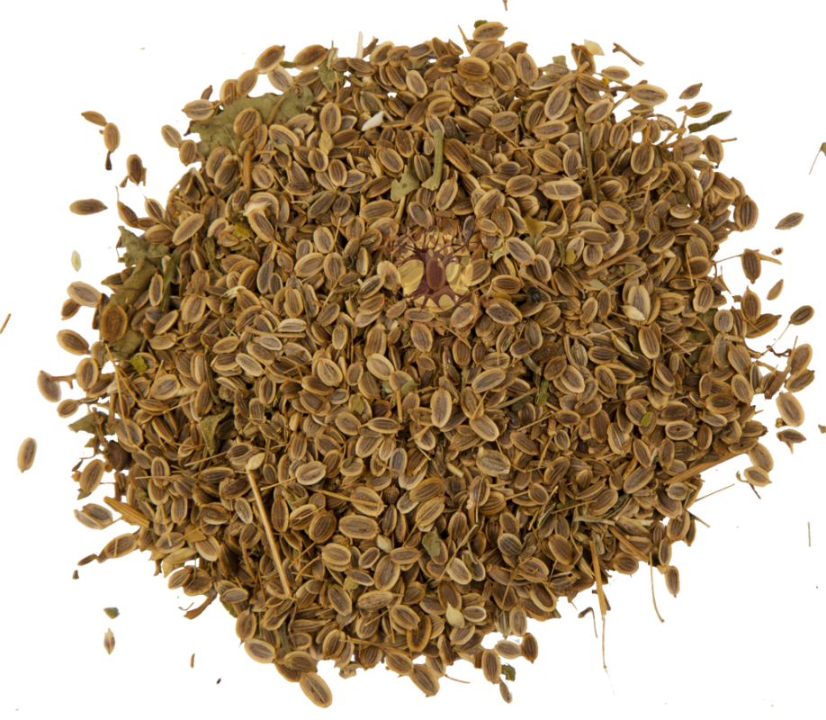 Семена укропа