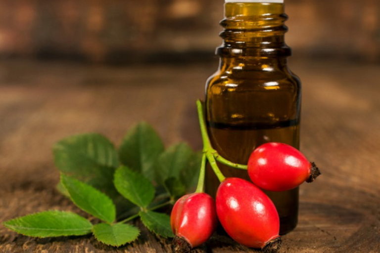 Шиповник и масло из него