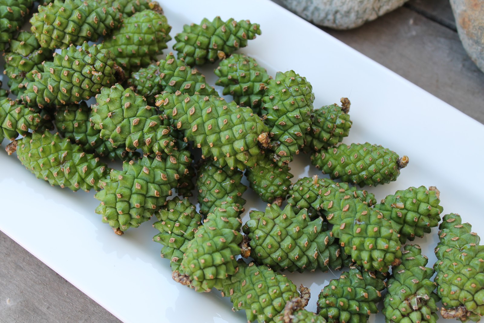 Шишки на белом блюде