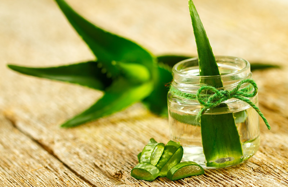 Алоэ и сок из него