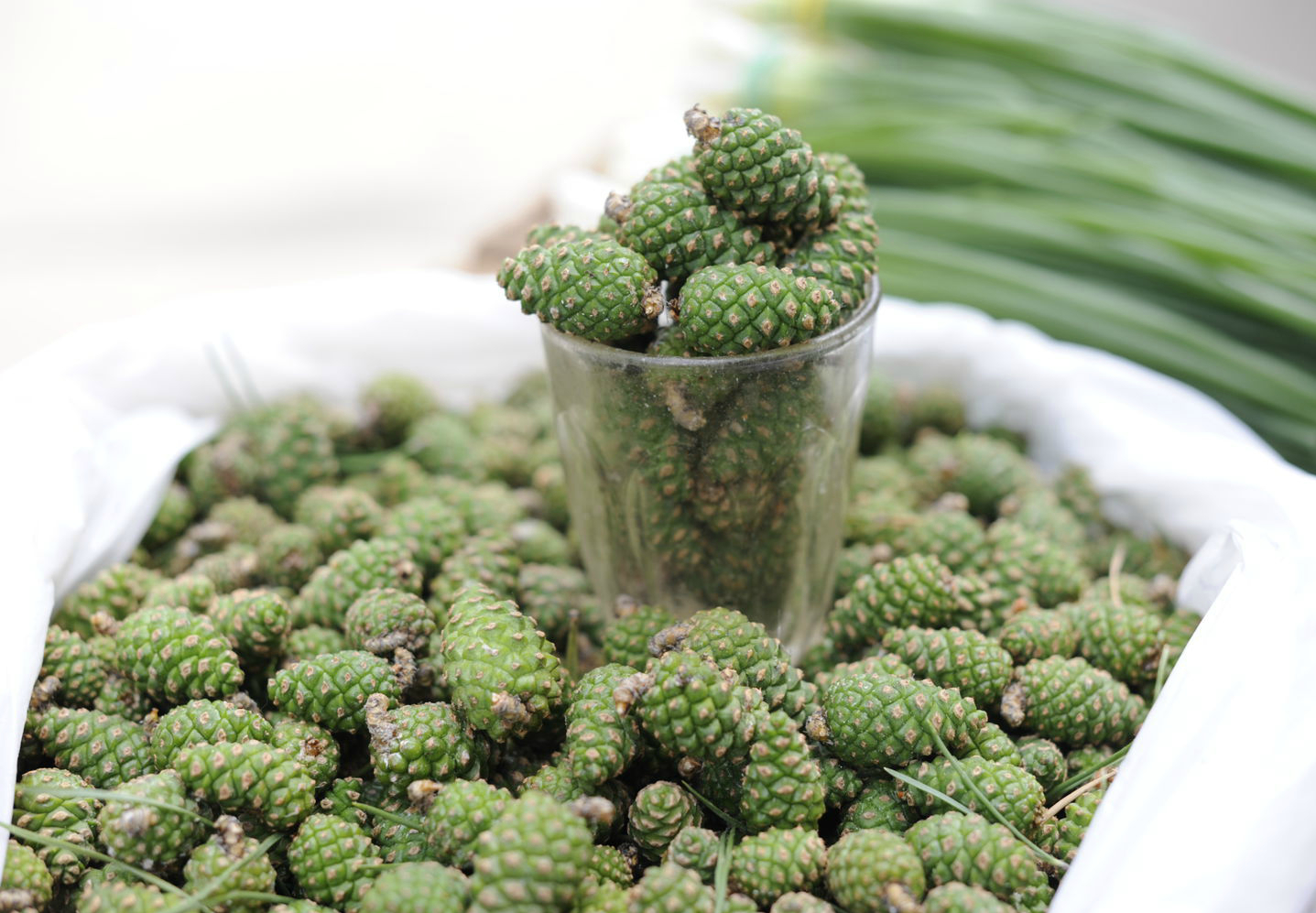 Сосновые шишки в мешке и банке