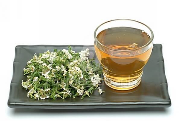 Стакан с отваром и трава тысячелистника