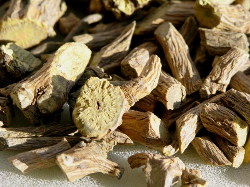 Сухие корни шлемника