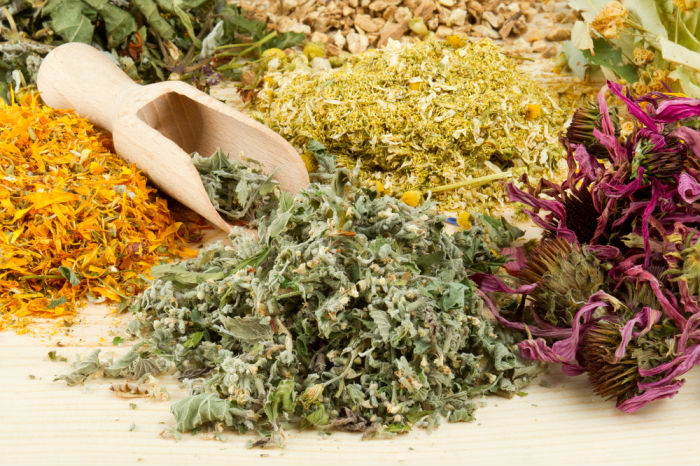 Сухие травы и совочек