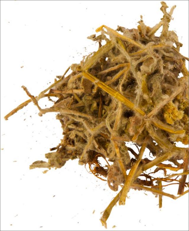 Высушенная трава сушеницы