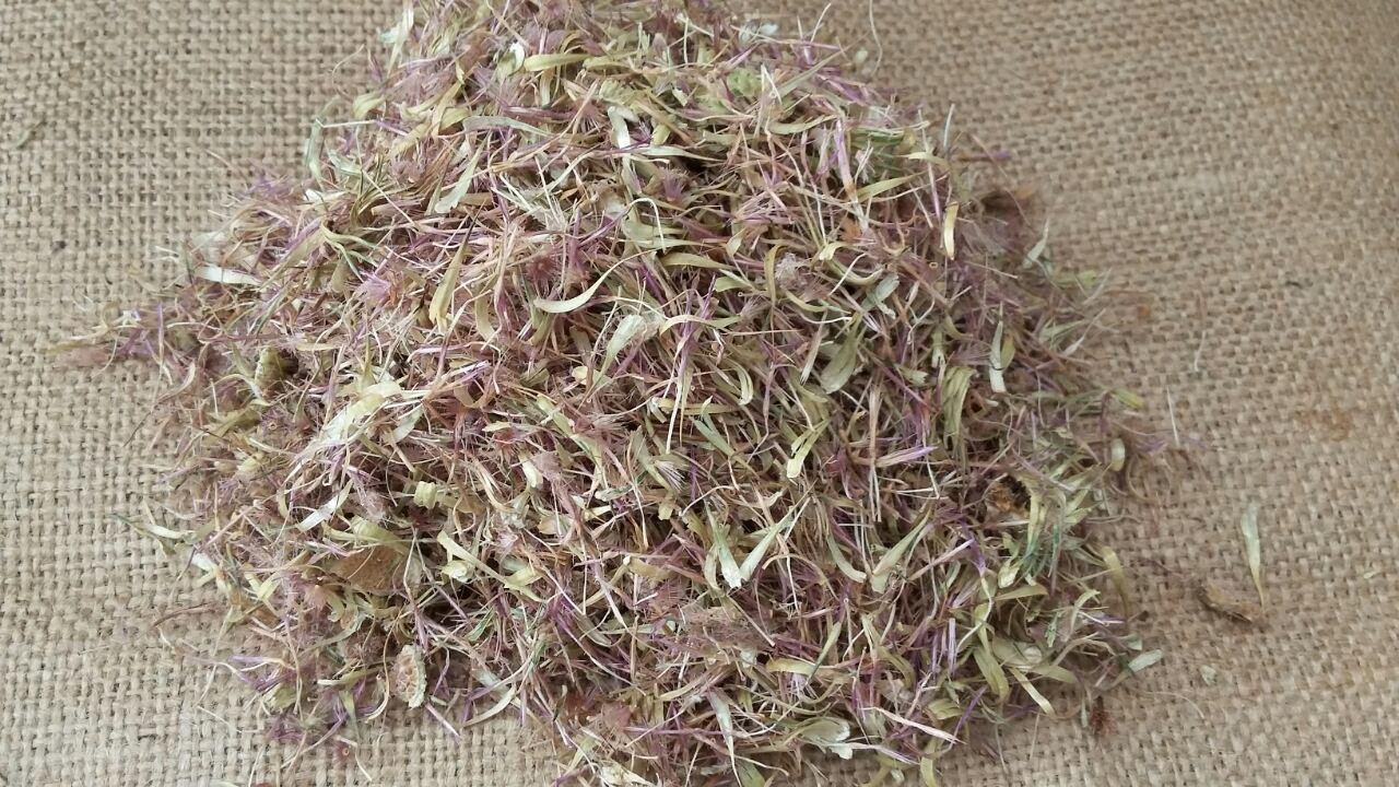 Сушёные цветы татарника