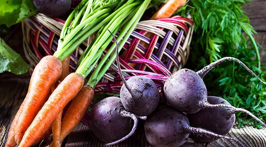 Свёкла и морковь