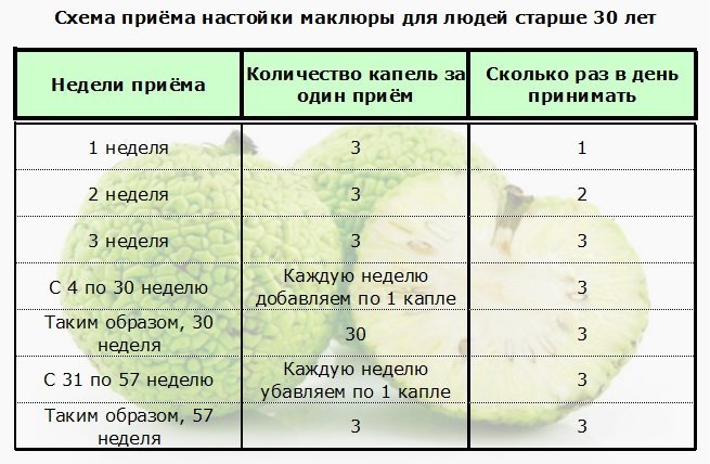 Таблица по приёму настойки адамова яблока для людей старше 30 лет