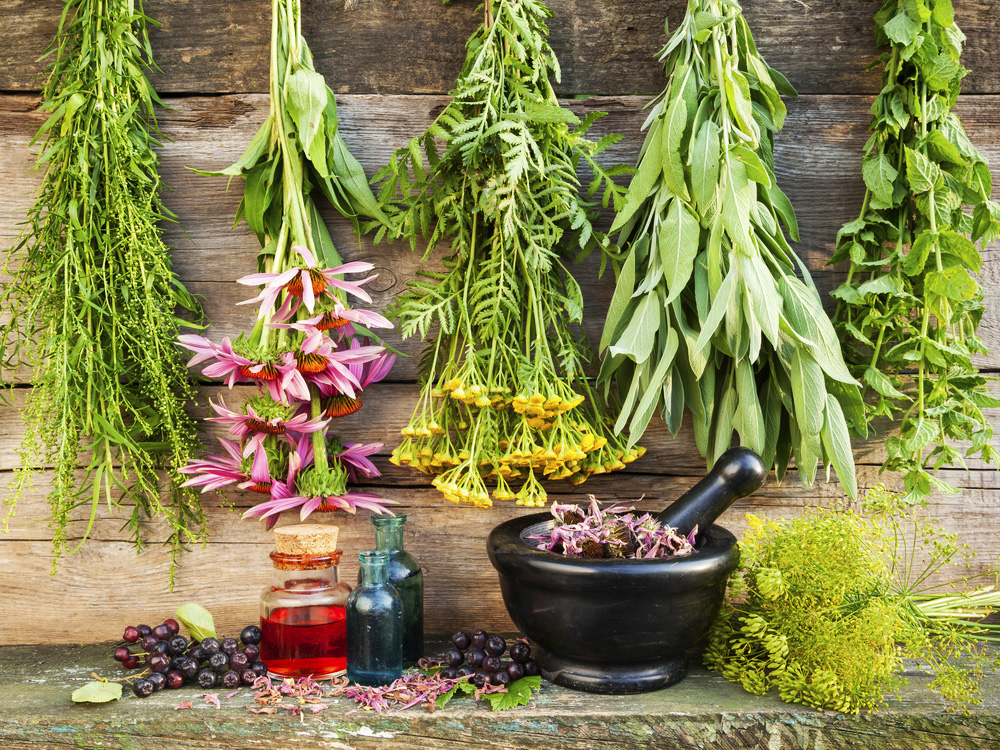 Лекарственные травы