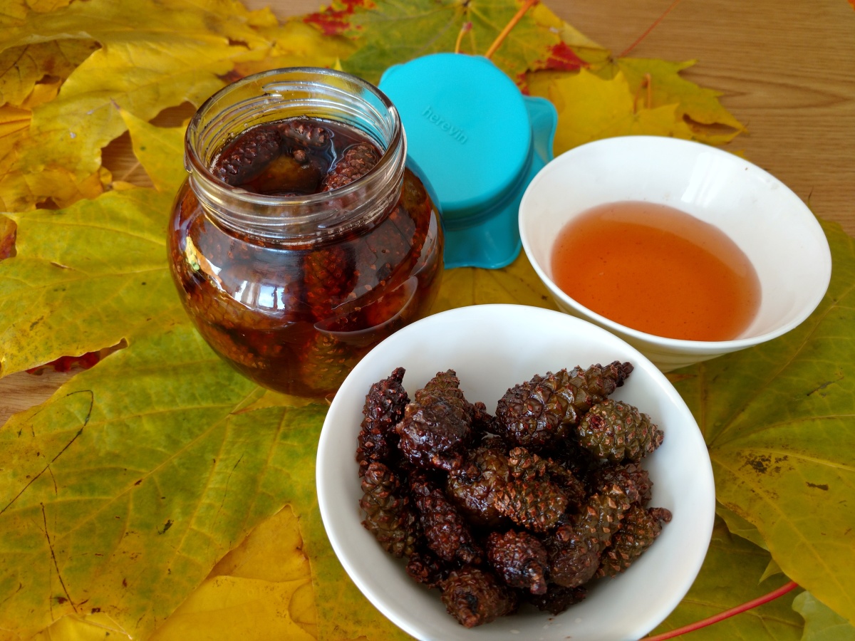 Варенье, мёд и цукаты из сосновых шишек