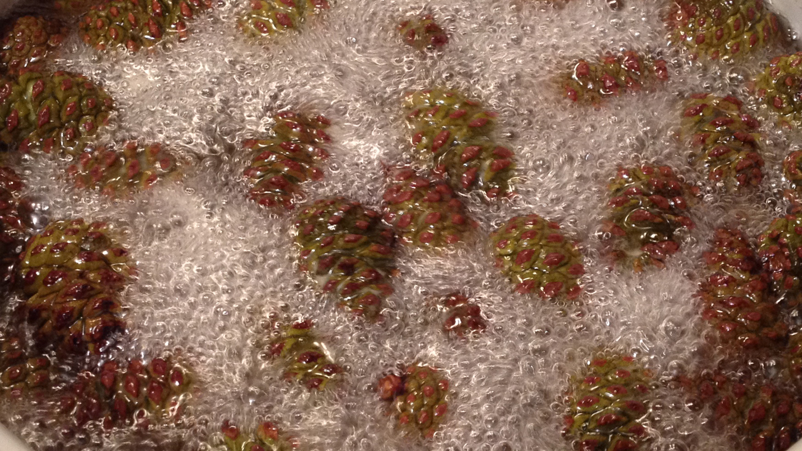 Варится варенье из шишек