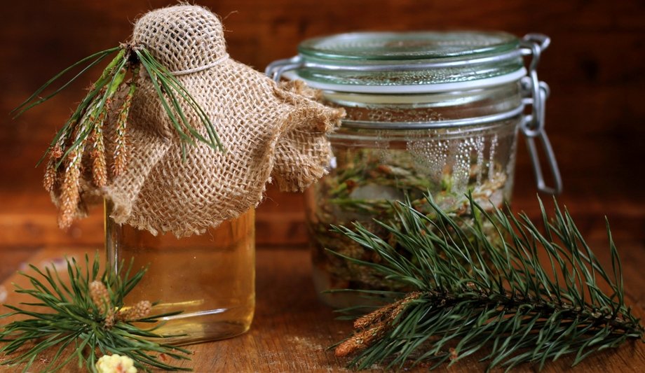 Заготовки из почек сосны в ёмкостях для приготовления настойки