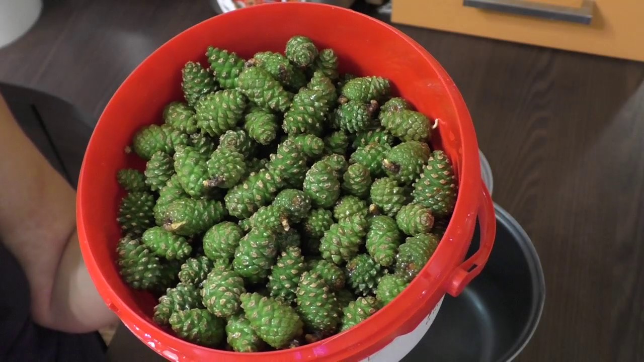 Зелёные шишки в красном тазике