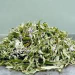 Зелёный иван-чай