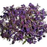 Зелёный иван-чай с цветами