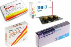 Лекарство от глистов для человека