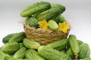 Рецепты малосольных огурцов